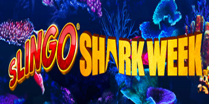 Slingo Shark Week Goldbet